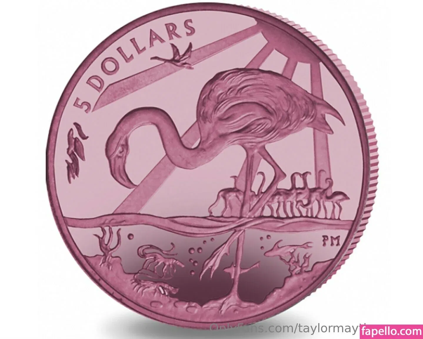 taylormaythompson Onlyfans Photo Gallery 