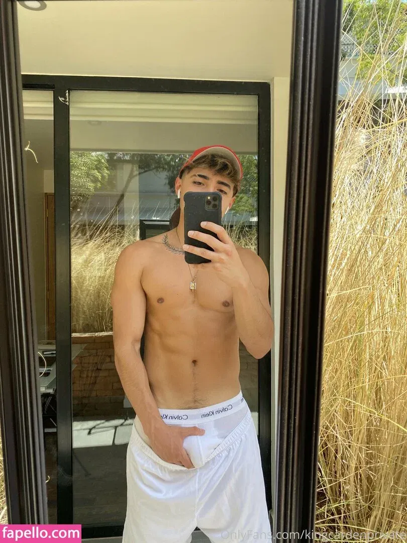 prettyboyaedan Onlyfans Photo Gallery 