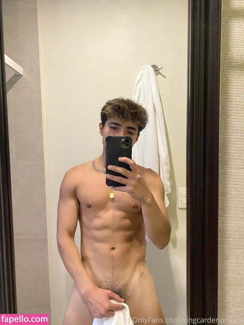 prettyboyaedan Onlyfans Photo Gallery 