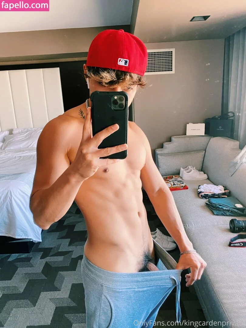 prettyboyaedan Onlyfans Photo Gallery 