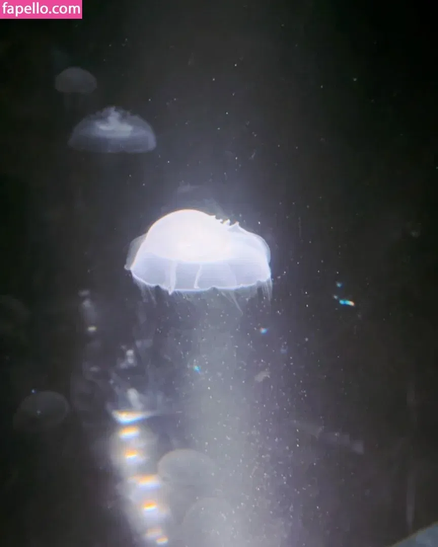 yudiii Onlyfans Photo Gallery 