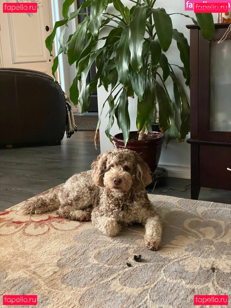 cutegiraffe Onlyfans Photo Gallery 