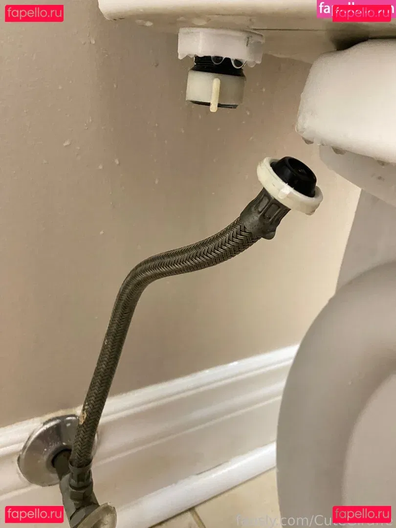 cutegiraffe Onlyfans Photo Gallery 