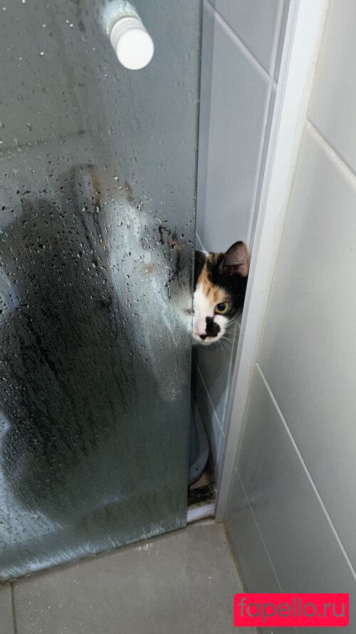 Caputile Onlyfans Photo Gallery 