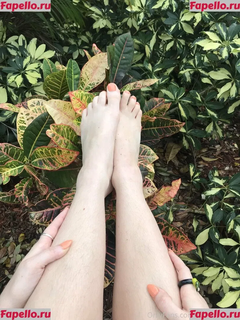 fox_anatomy Onlyfans Photo Gallery 