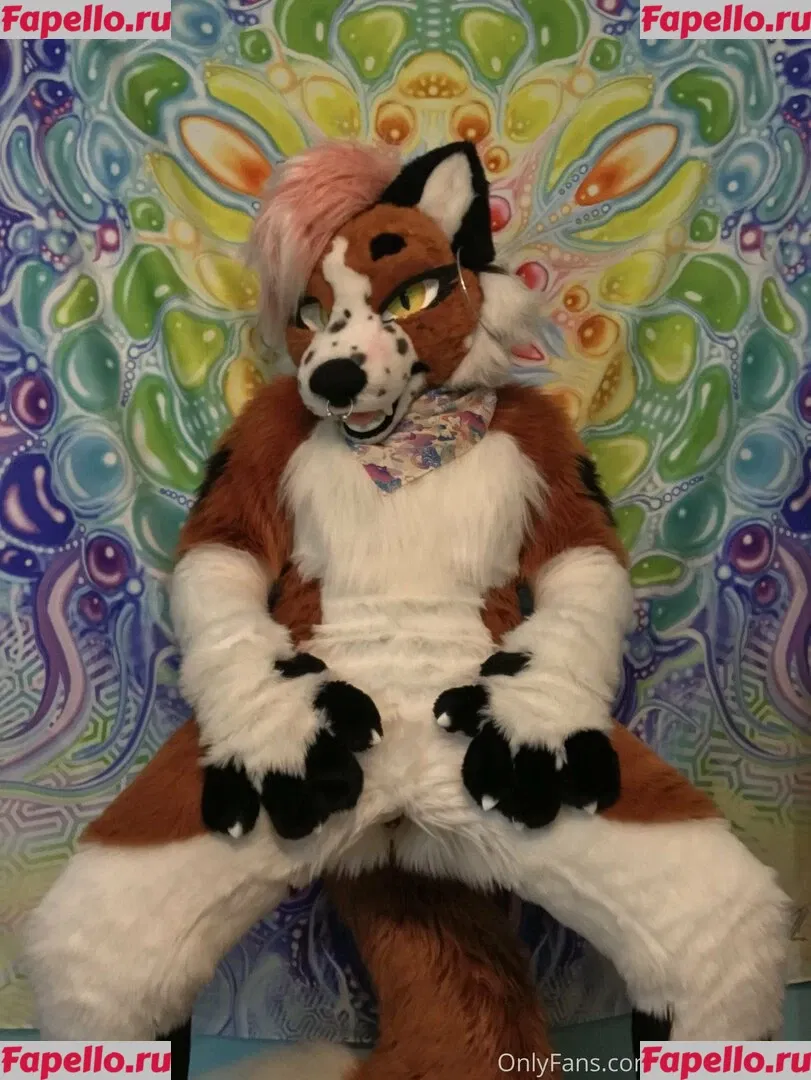 fox_anatomy Onlyfans Photo Gallery 