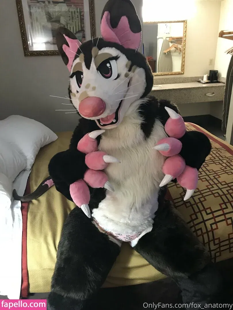 fox_anatomy Onlyfans Photo Gallery 