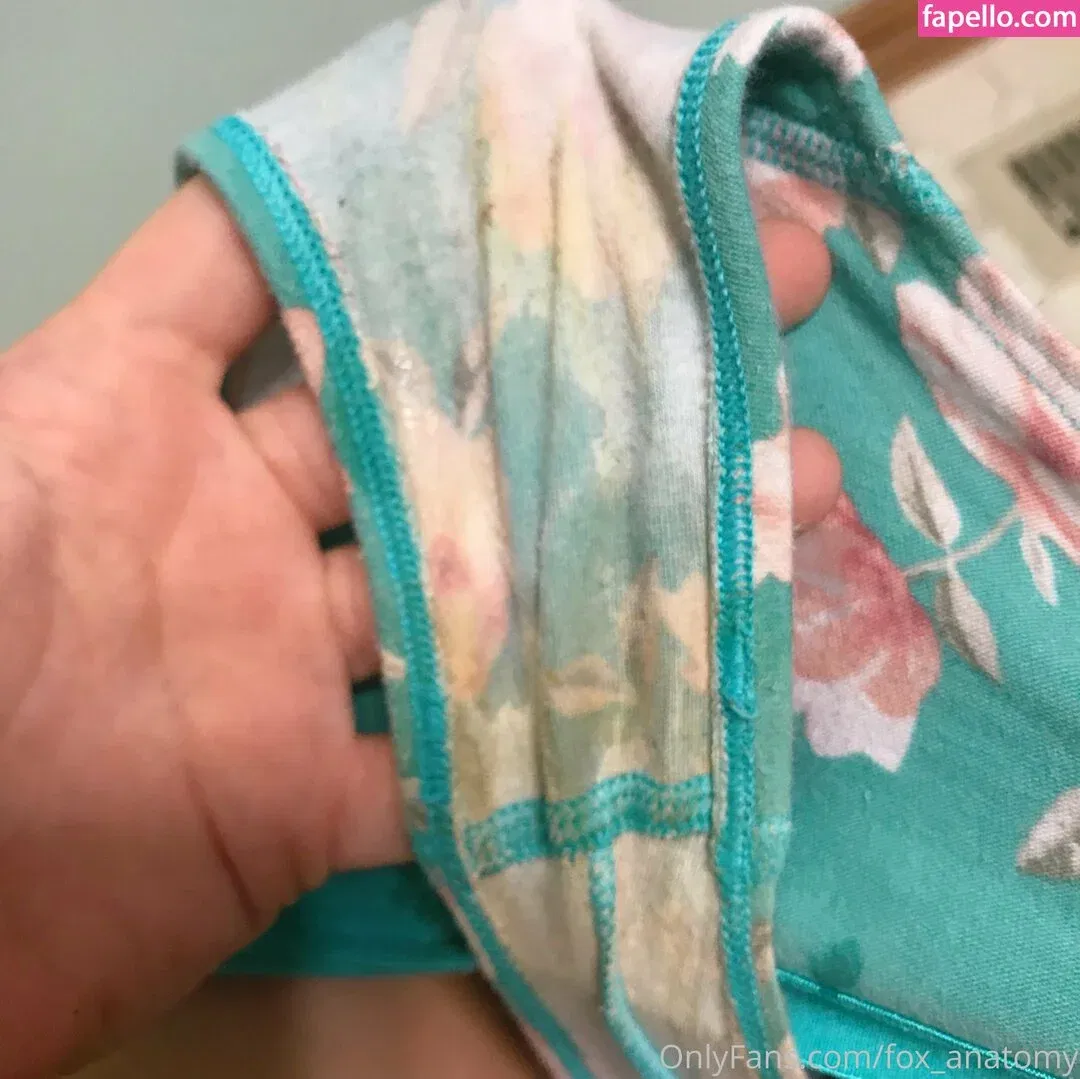 fox_anatomy Onlyfans Photo Gallery 