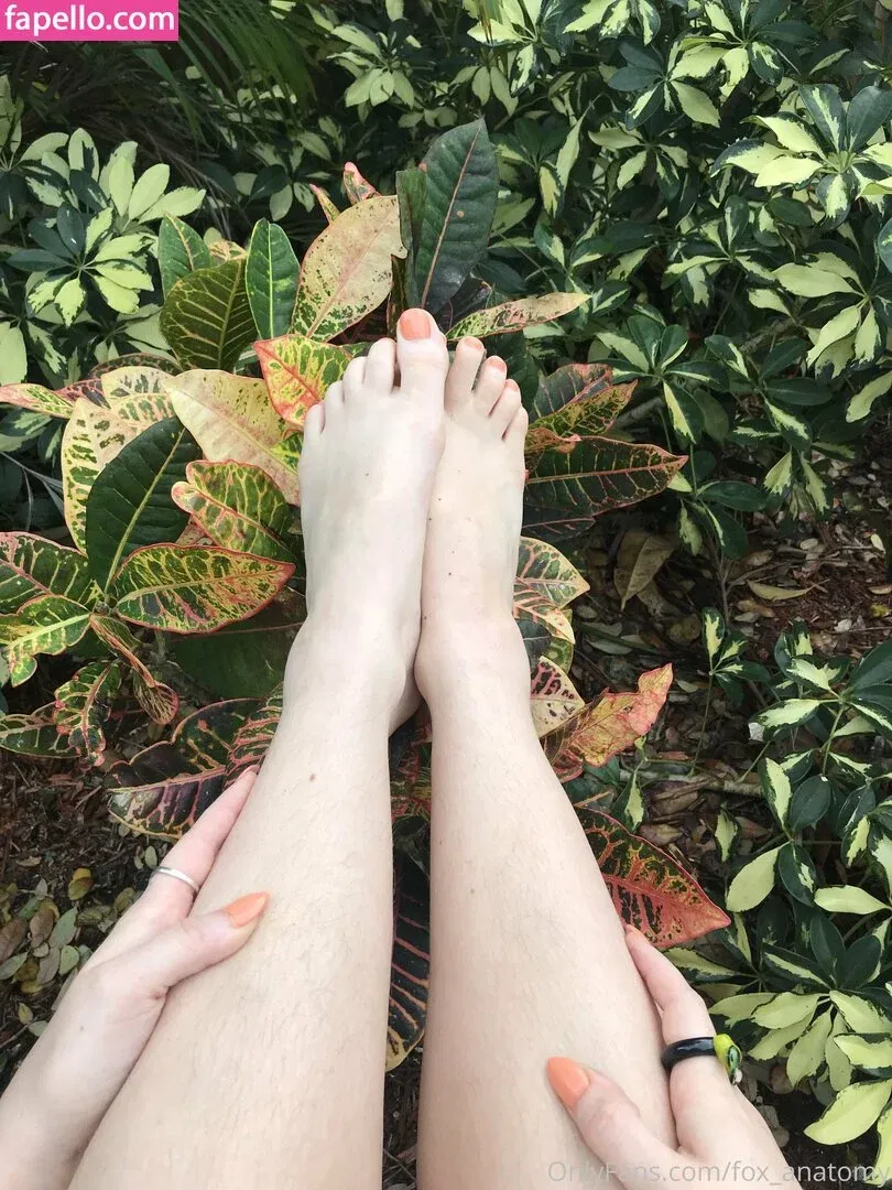 fox_anatomy Onlyfans Photo Gallery 