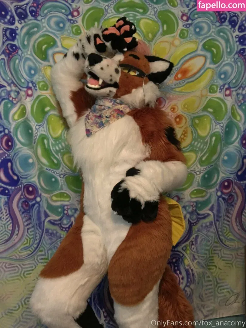 fox_anatomy Onlyfans Photo Gallery 