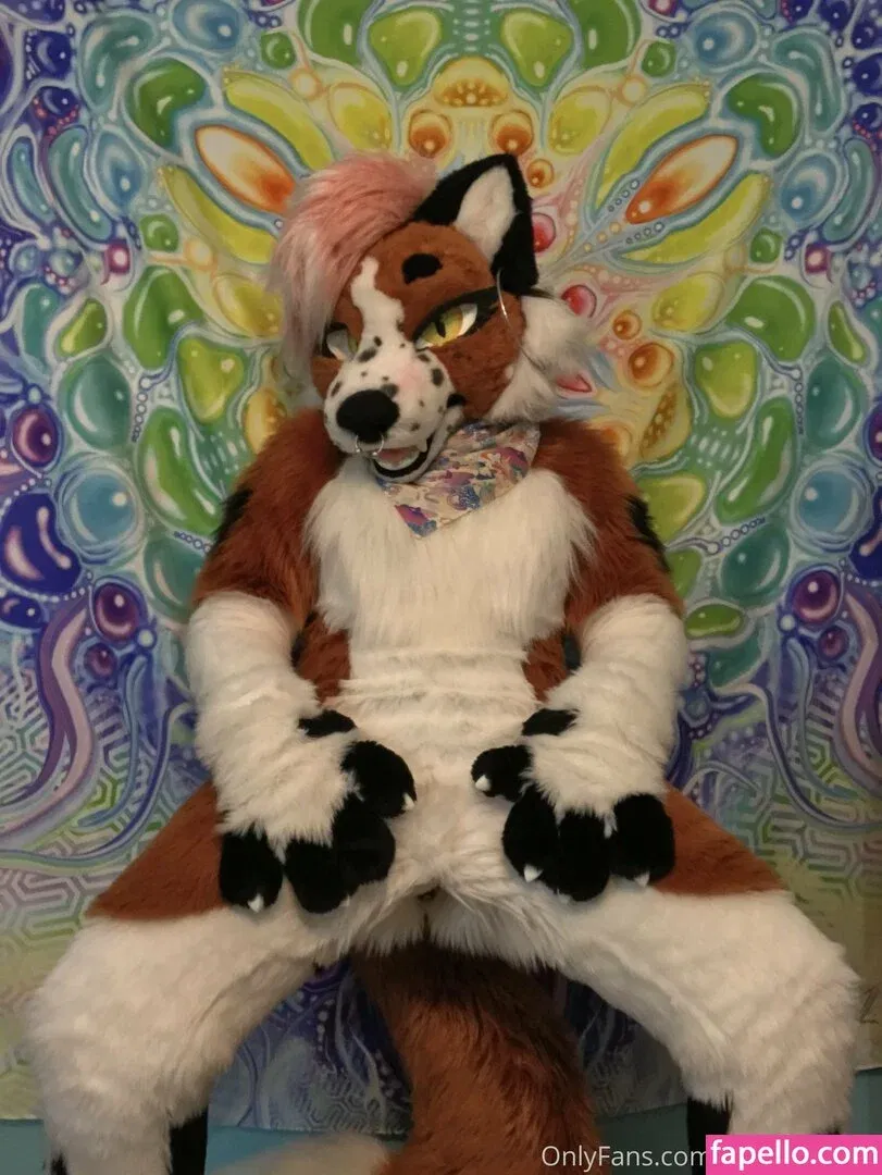 fox_anatomy Onlyfans Photo Gallery 