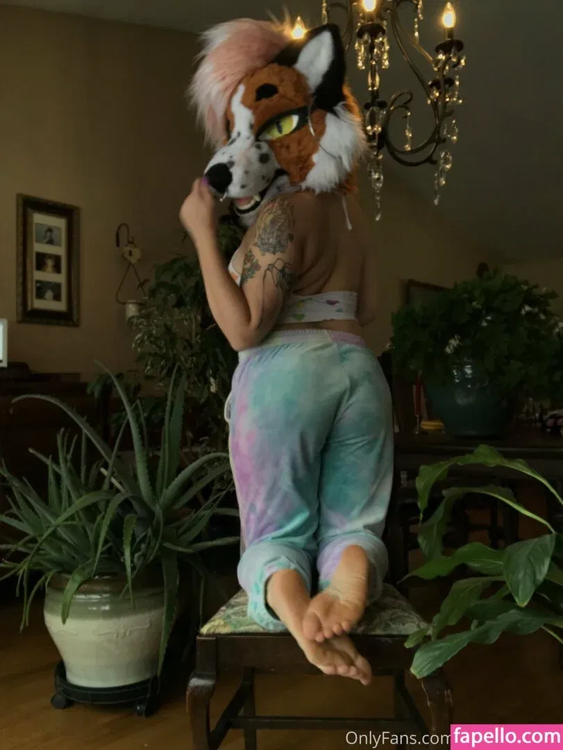 fox_anatomy Onlyfans Photo Gallery 