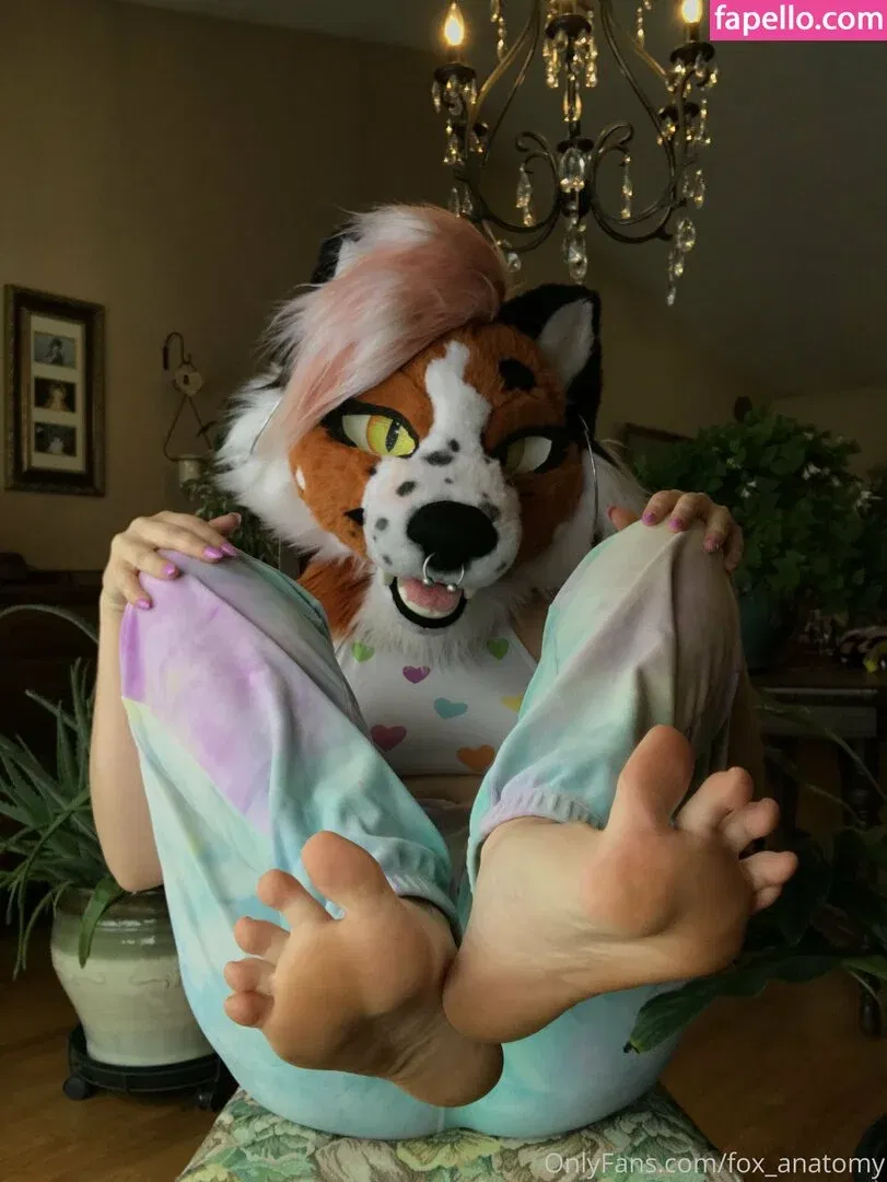 fox_anatomy Onlyfans Photo Gallery 