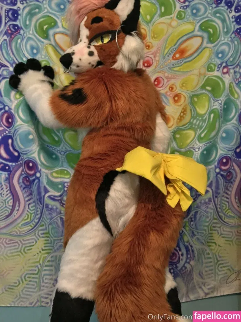 fox_anatomy Onlyfans Photo Gallery 