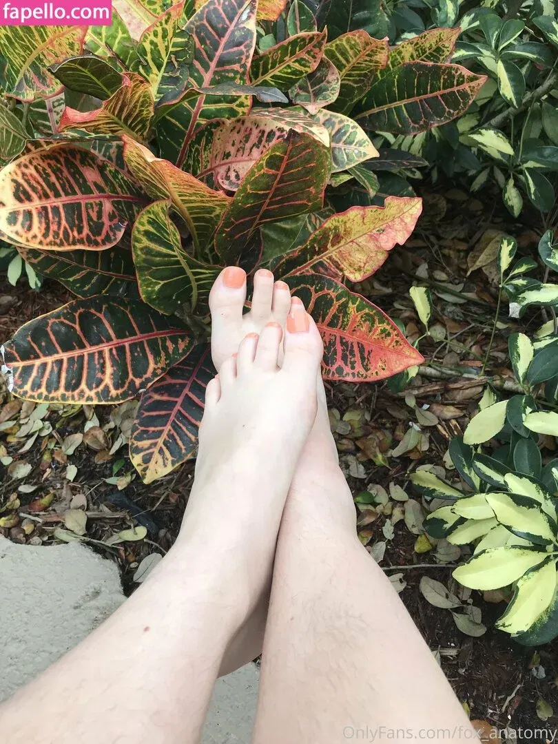 fox_anatomy Onlyfans Photo Gallery 