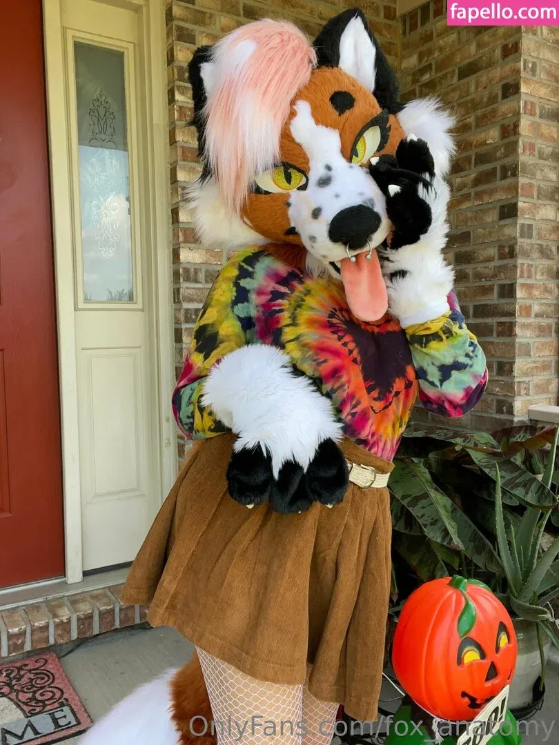 fox_anatomy Onlyfans Photo Gallery 