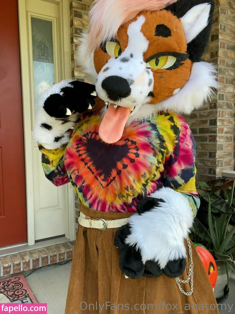 fox_anatomy Onlyfans Photo Gallery 