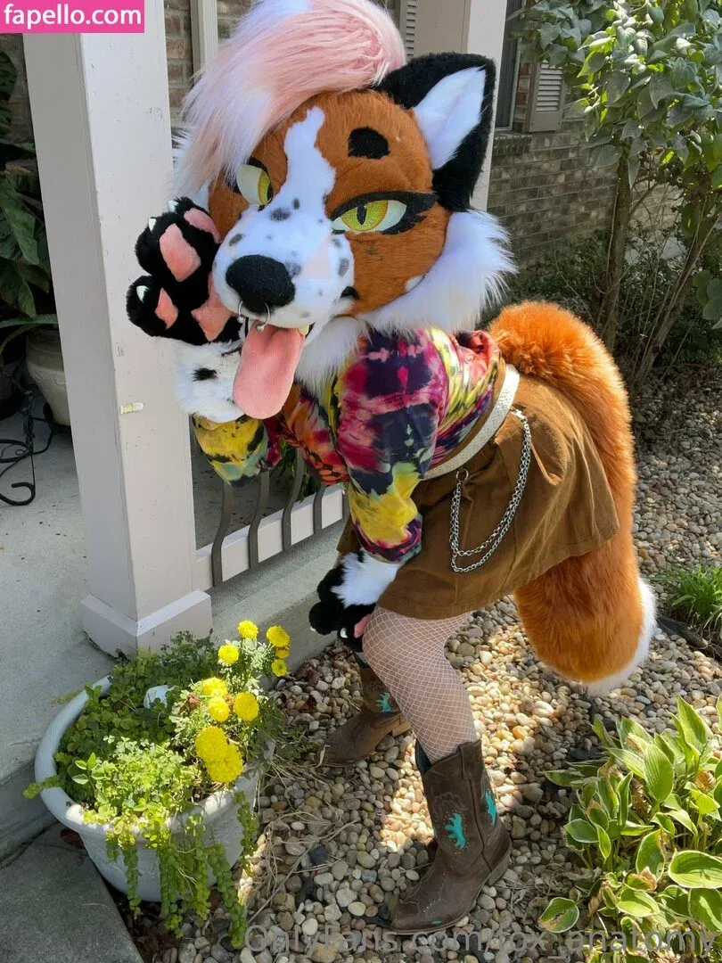 fox_anatomy Onlyfans Photo Gallery 