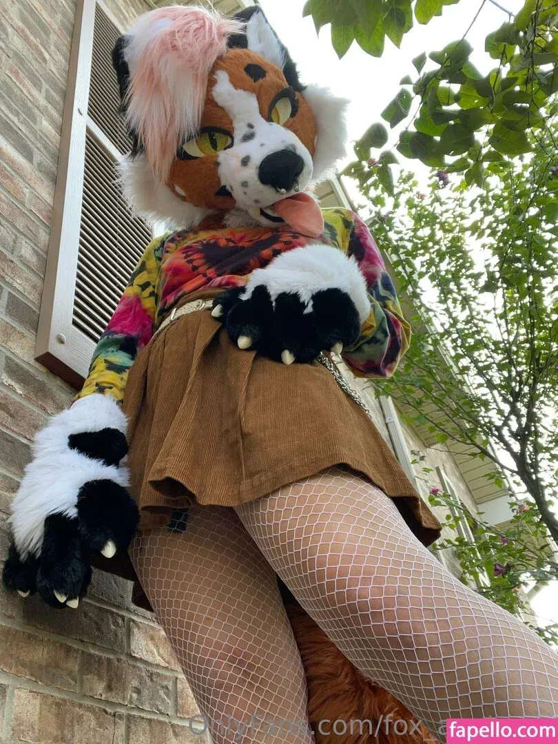 fox_anatomy Onlyfans Photo Gallery 