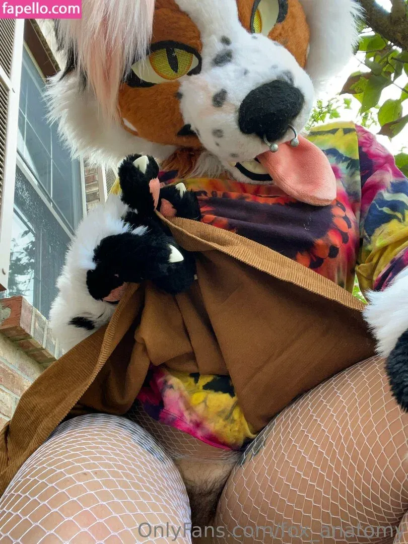 fox_anatomy Onlyfans Photo Gallery 