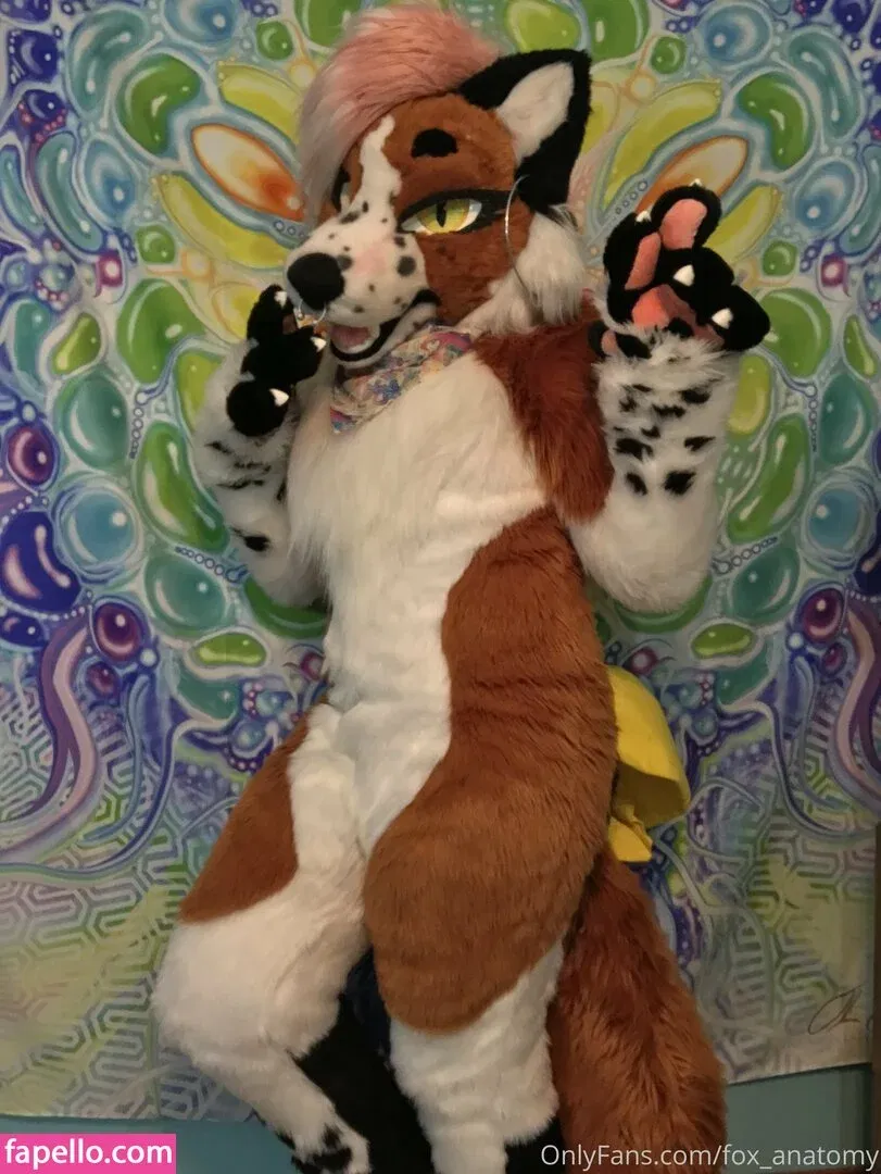 fox_anatomy Onlyfans Photo Gallery 