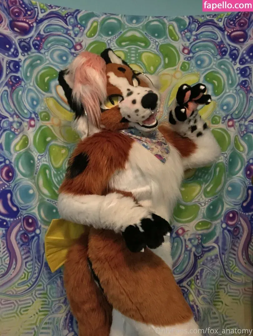 fox_anatomy Onlyfans Photo Gallery 