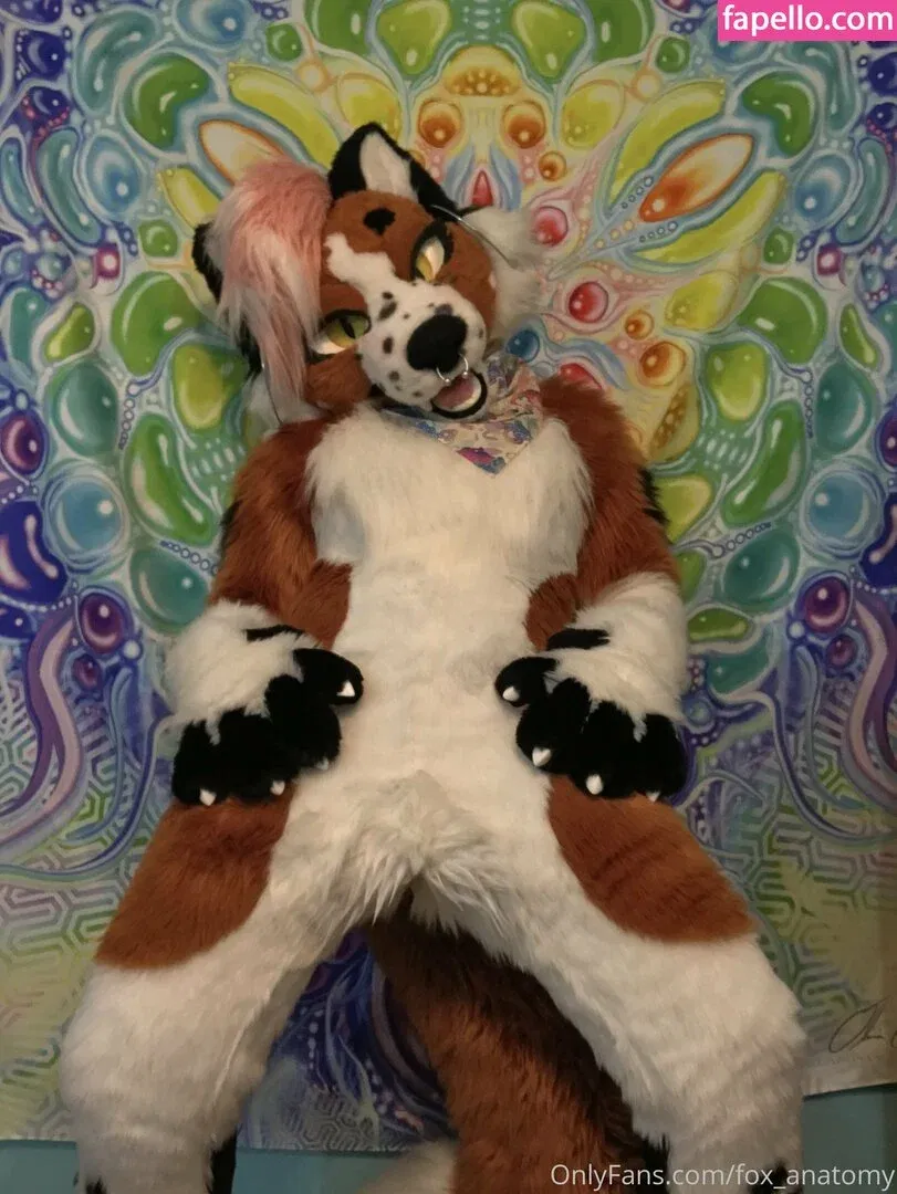 fox_anatomy Onlyfans Photo Gallery 