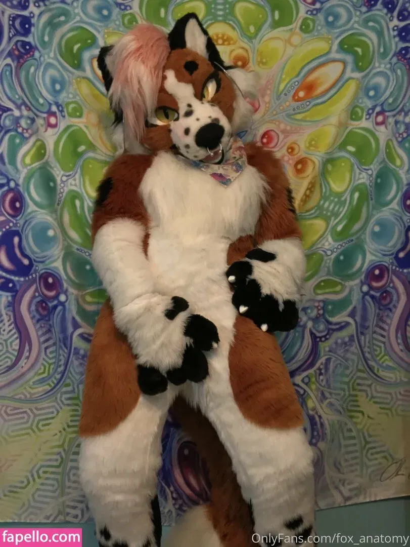 fox_anatomy Onlyfans Photo Gallery 