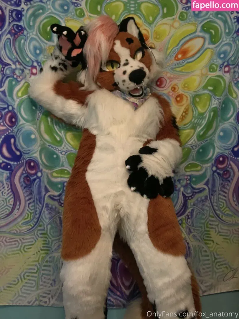 fox_anatomy Onlyfans Photo Gallery 