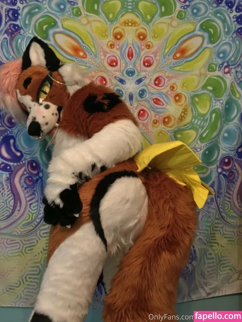 fox_anatomy Onlyfans Photo Gallery 