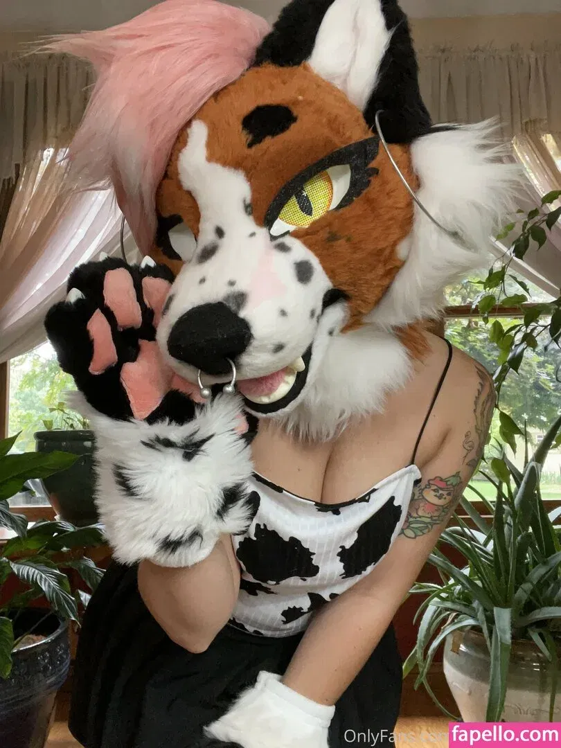 fox_anatomy Onlyfans Photo Gallery 