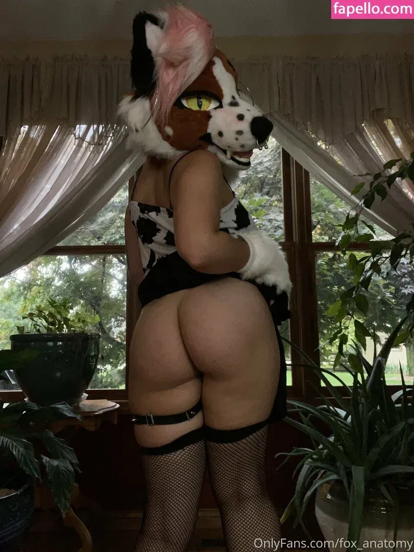 fox_anatomy Onlyfans Photo Gallery 