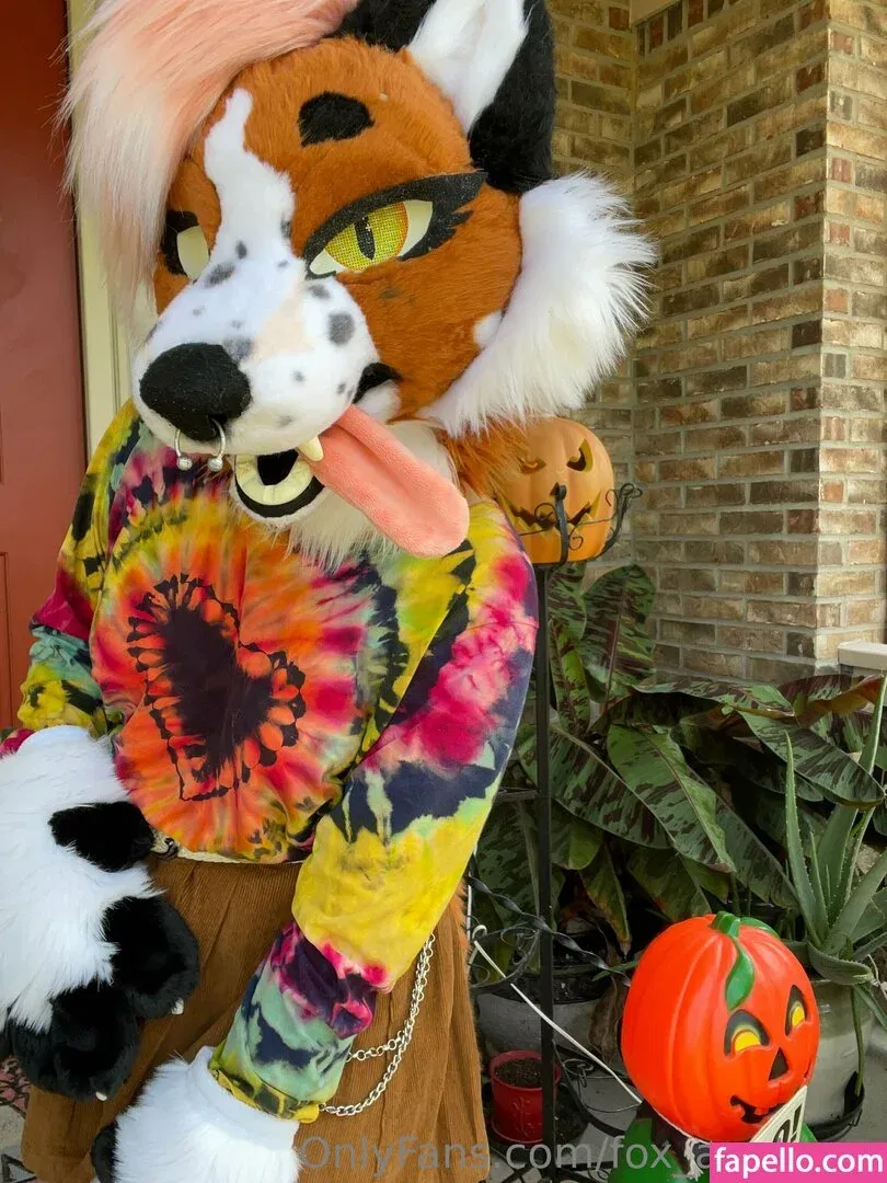 fox_anatomy Onlyfans Photo Gallery 