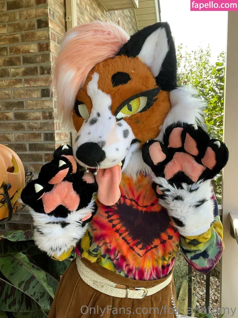 fox_anatomy Onlyfans Photo Gallery 