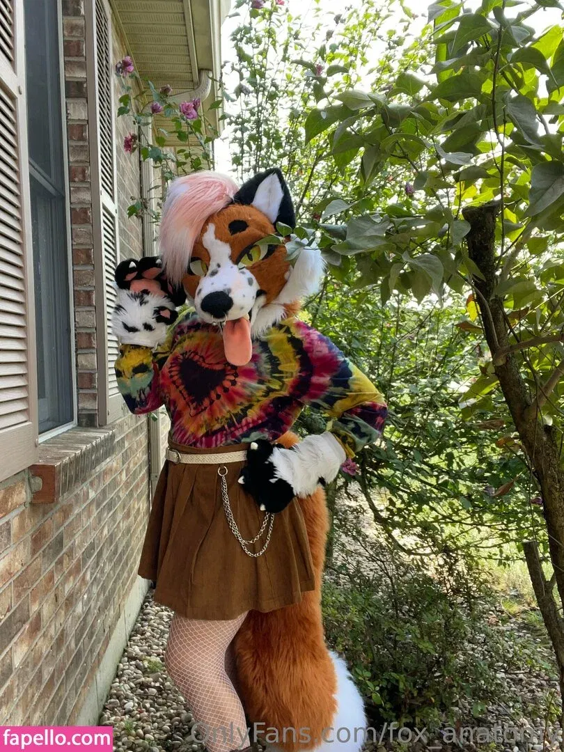 fox_anatomy Onlyfans Photo Gallery 