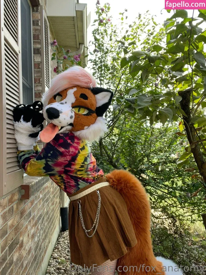 fox_anatomy Onlyfans Photo Gallery 