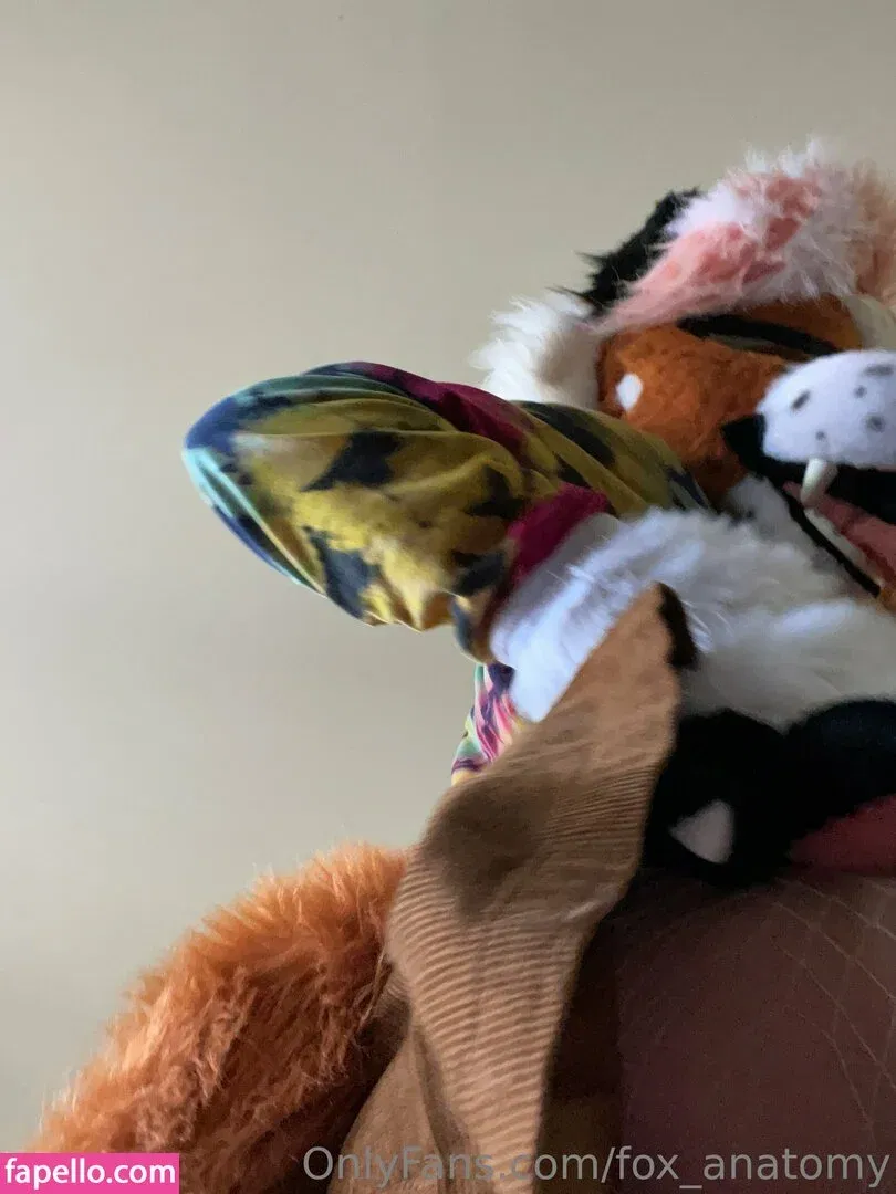 fox_anatomy Onlyfans Photo Gallery 