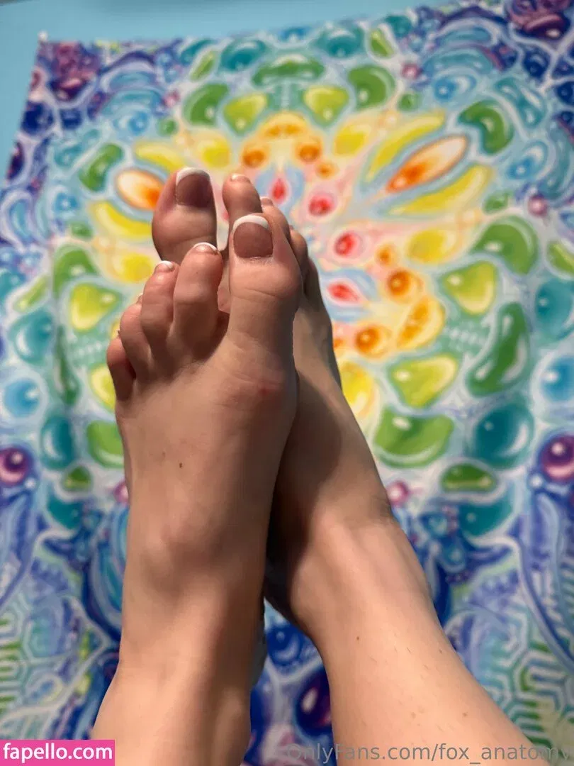 fox_anatomy Onlyfans Photo Gallery 