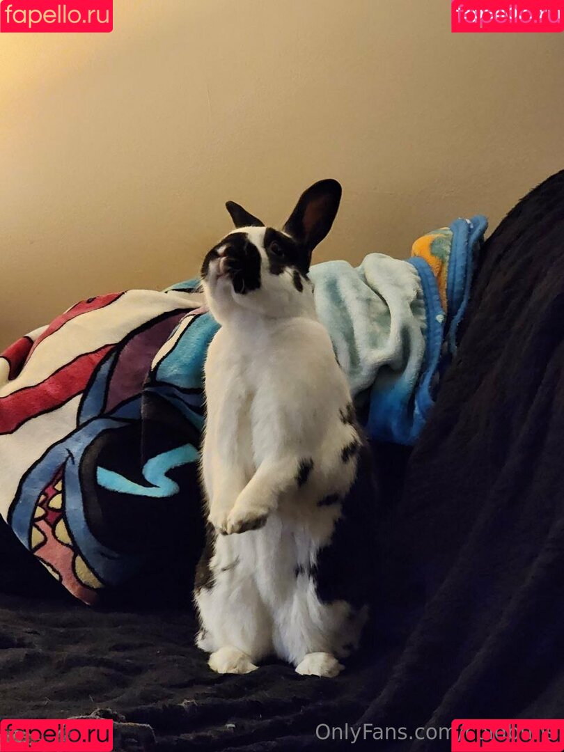 coldbuns Onlyfans Photo Gallery 