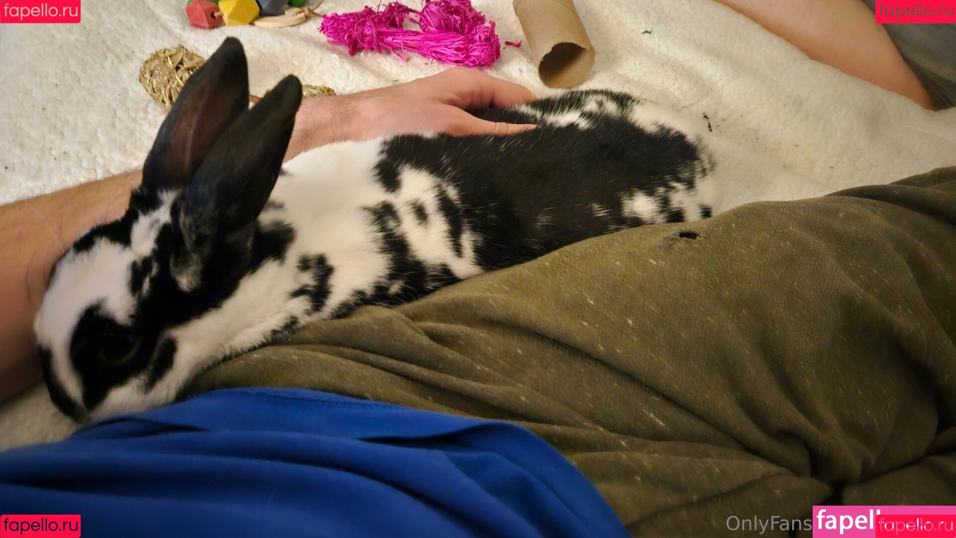 coldbuns Onlyfans Photo Gallery 