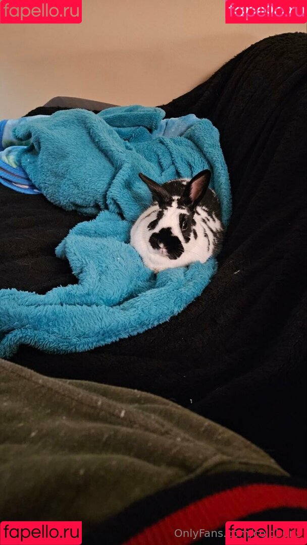 coldbuns Onlyfans Photo Gallery 