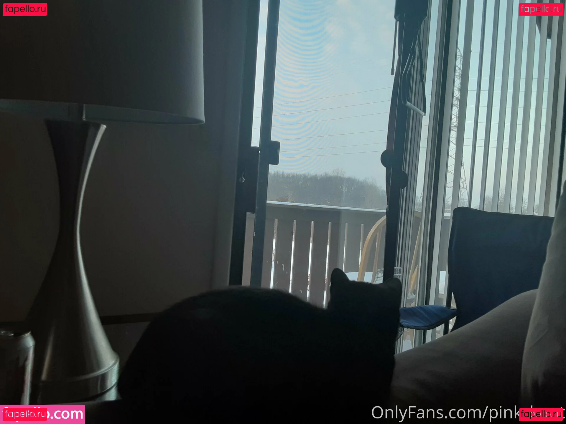 pink_kunt Onlyfans Photo Gallery 