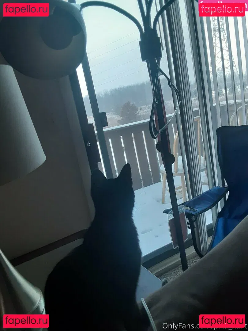 pink_kunt Onlyfans Photo Gallery 