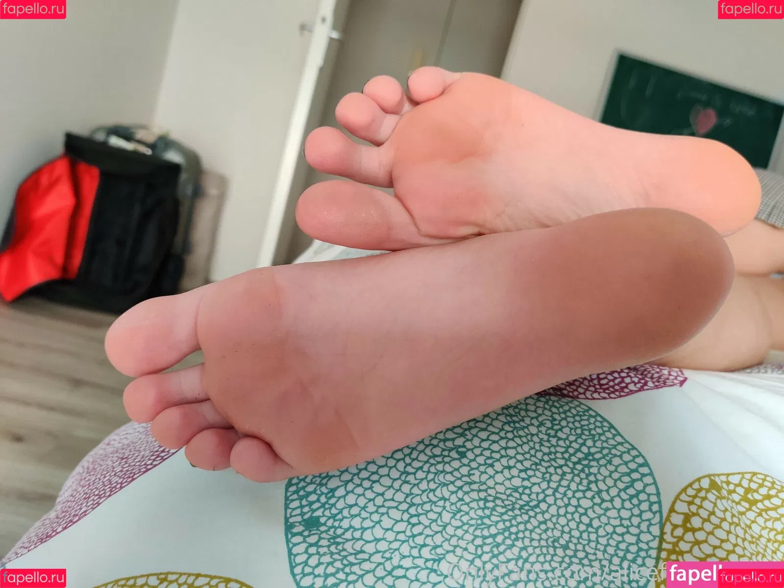 alicefrenchfeet Onlyfans Photo Gallery 