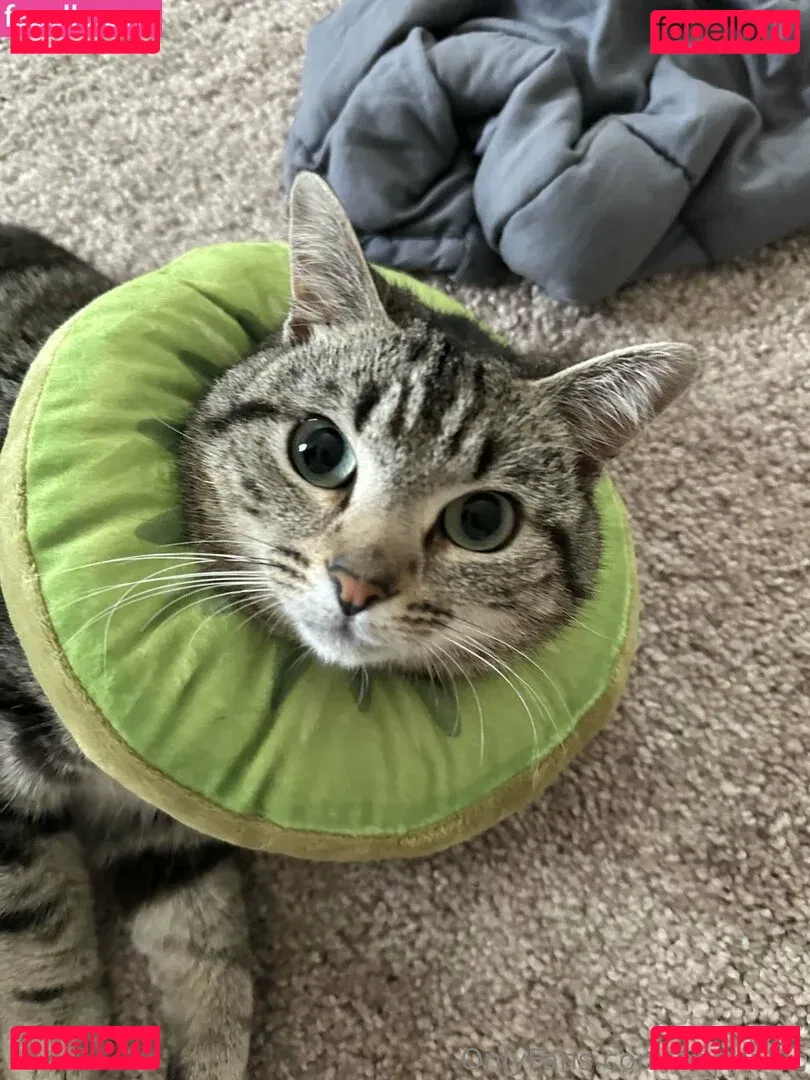 Nephallic Onlyfans Photo Gallery 