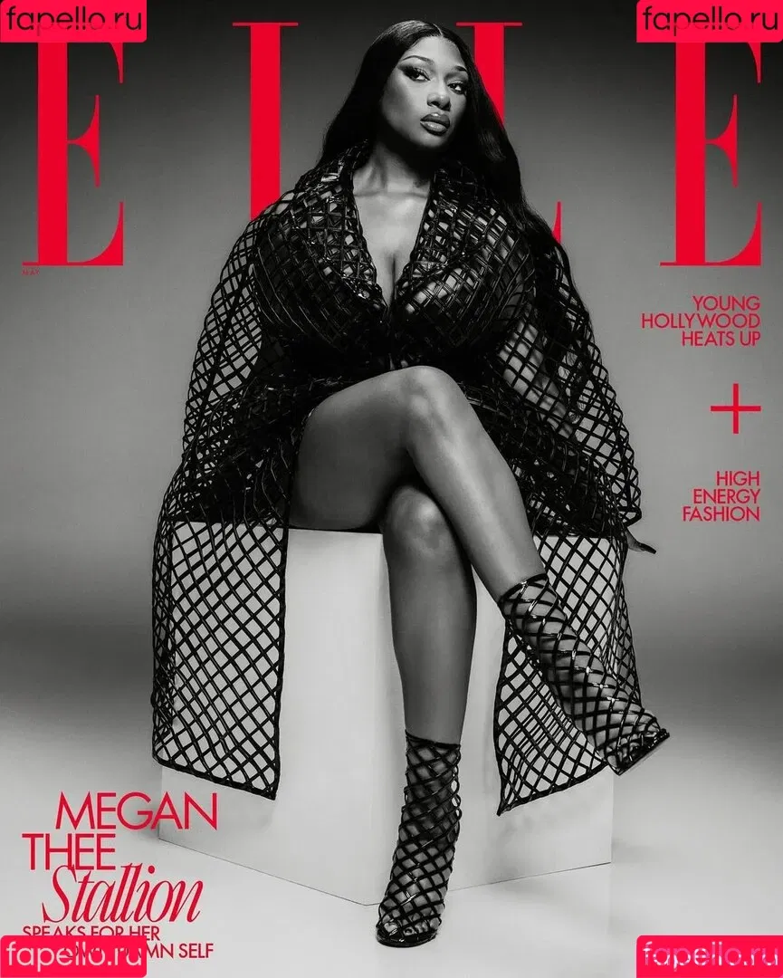 Megan Thee Stallion Onlyfans Photo Gallery 