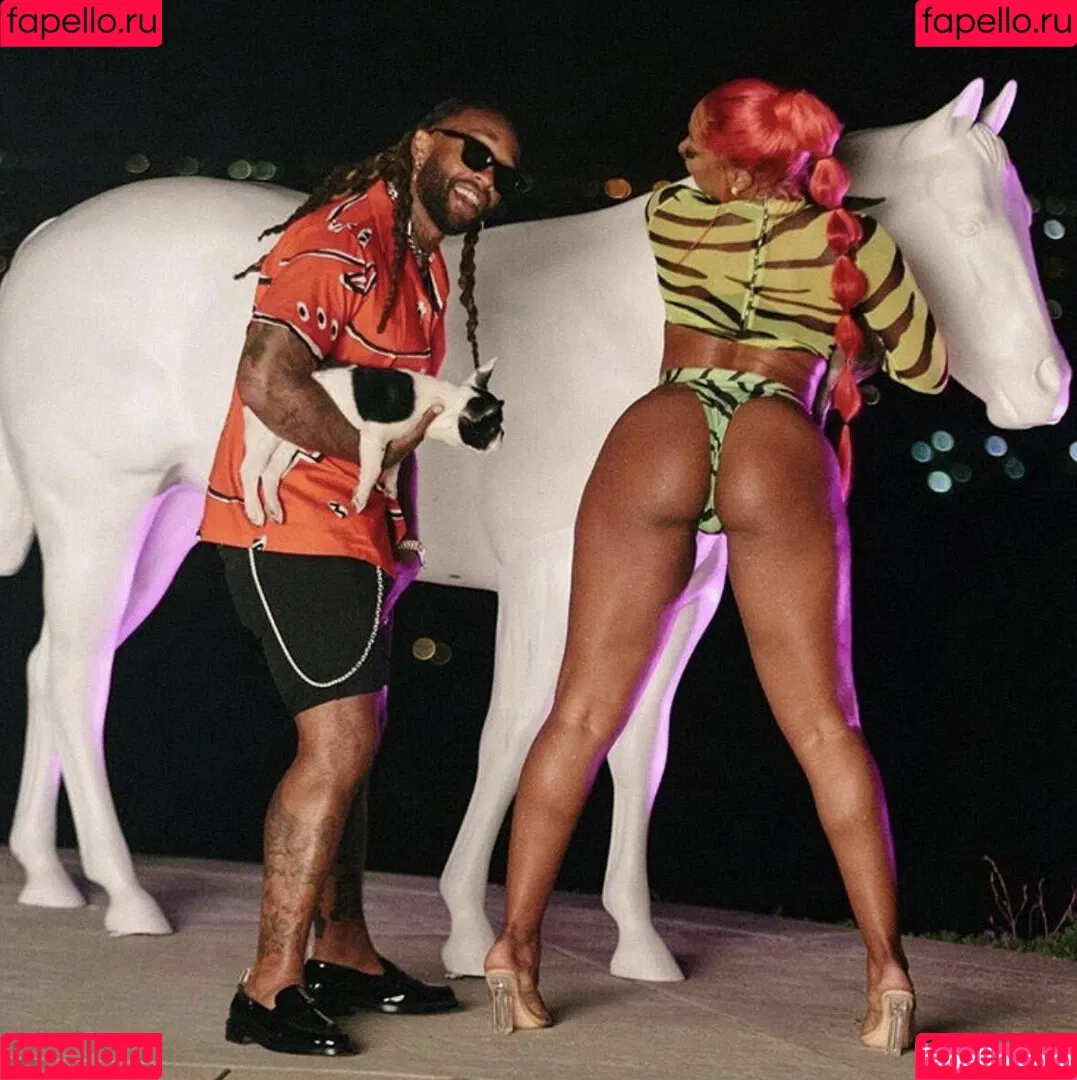 Megan Thee Stallion Onlyfans Photo Gallery 