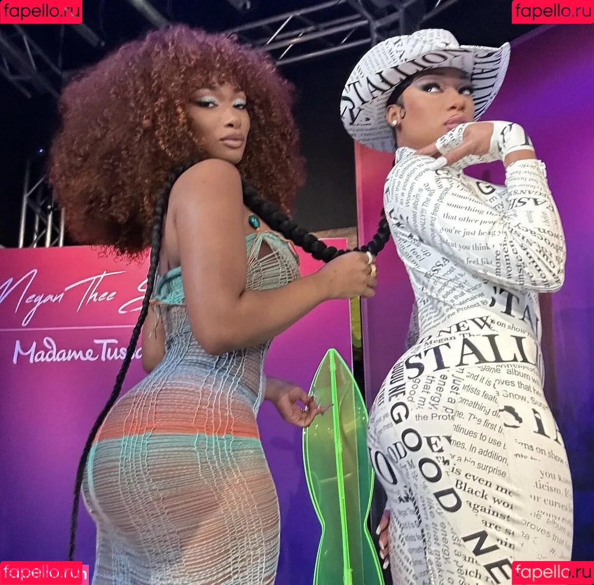Megan Thee Stallion Onlyfans Photo Gallery 