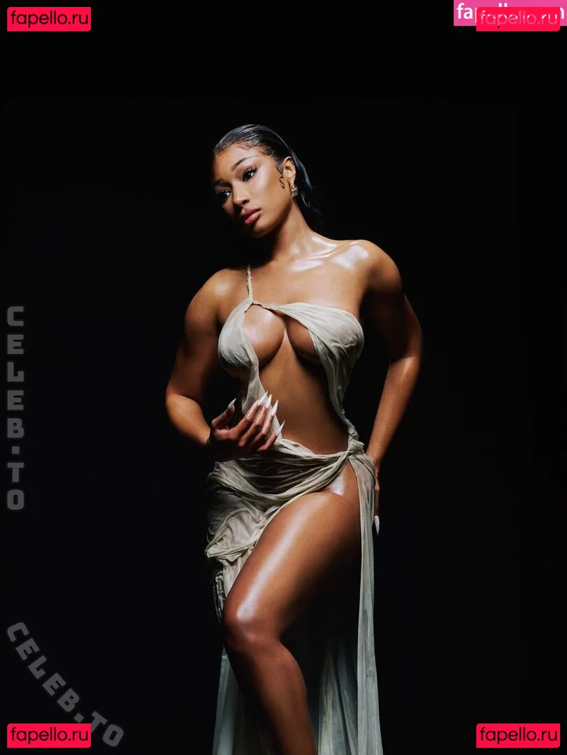 Megan Thee Stallion Onlyfans Photo Gallery 