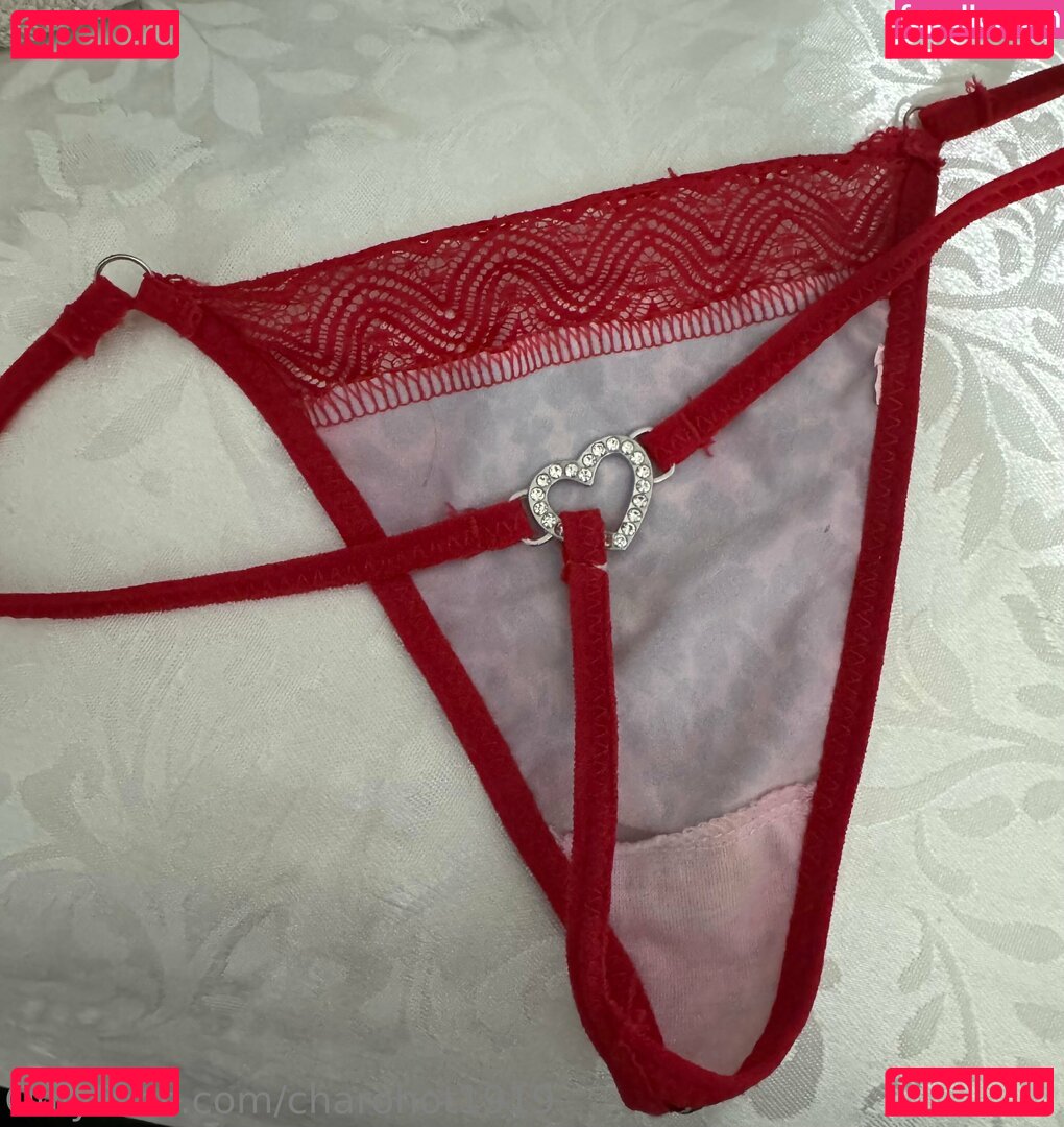 charohot1919 Nude Onlyfans Photo 31